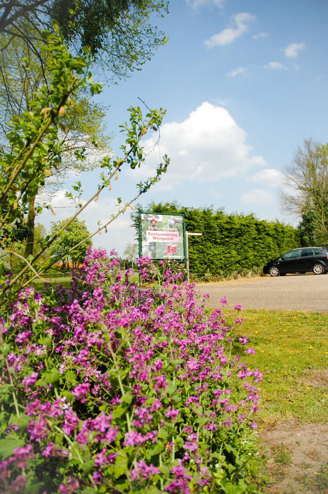 Bed & Breakfast De Kreitsberg Duifhuis エクステリア 写真